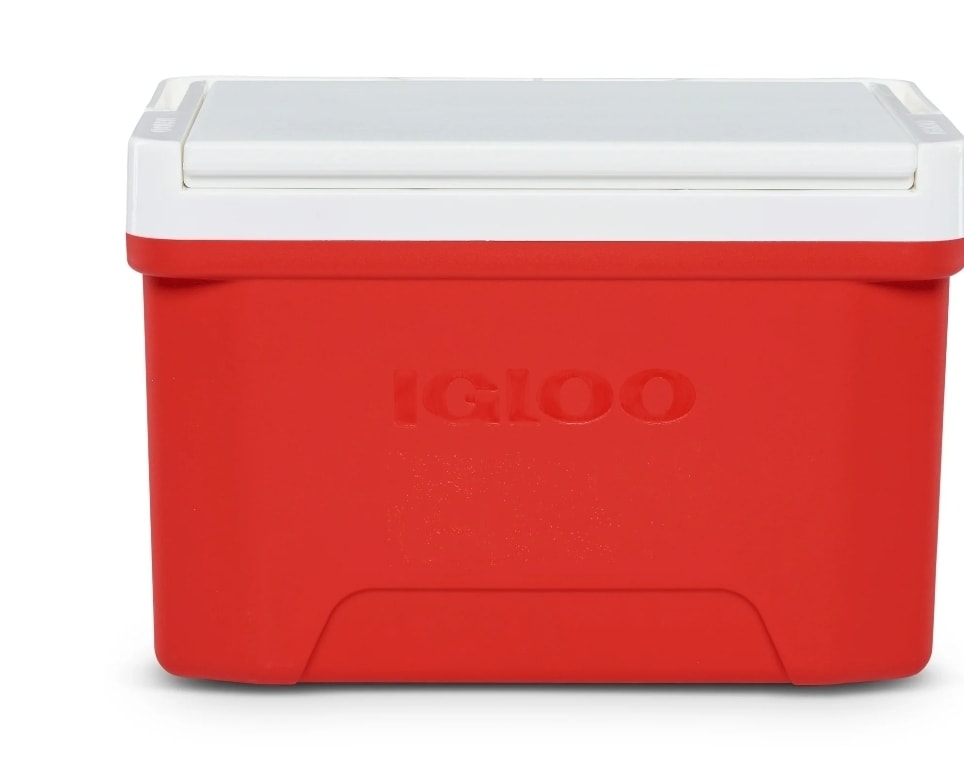 Small Igloo Cooler
